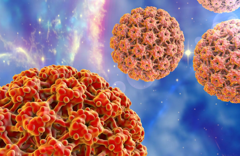 Virus lidského papilomu