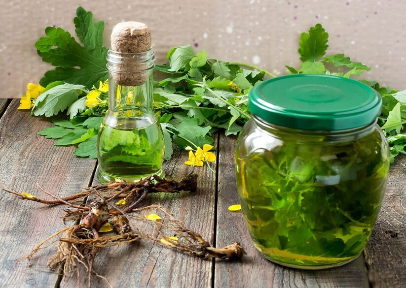 Infuze celandinu k boji proti papilomům